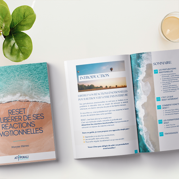 Ima ge de l'ebook Reset se libérer de ses réactions émotionnelles